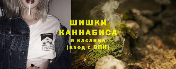 мдпв Надым